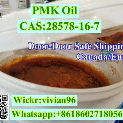 PMK Oil CAS 28578-16-7 (2)