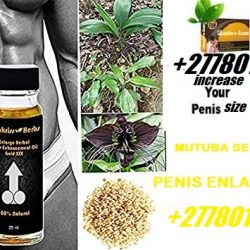 Mutuba-seed-and-Herbal-Oil-for-Male-Enlargement-27736844586-Serius-Man-12